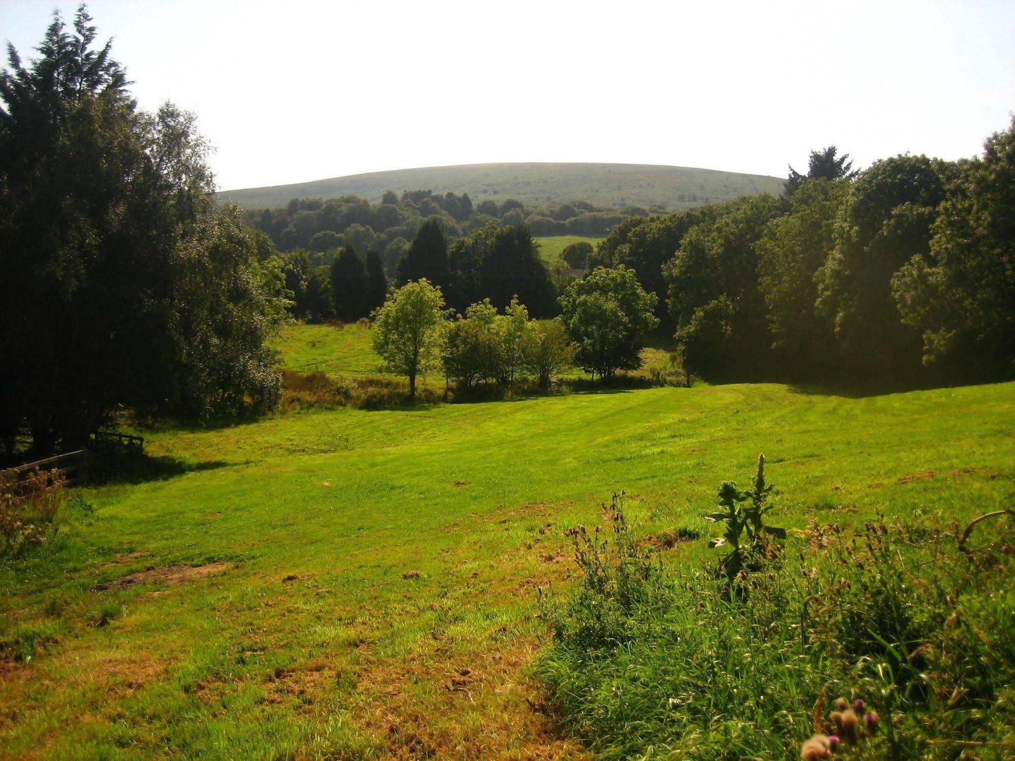 The Oxenham Arms Hotel Devon South Zeal Eksteriør billede